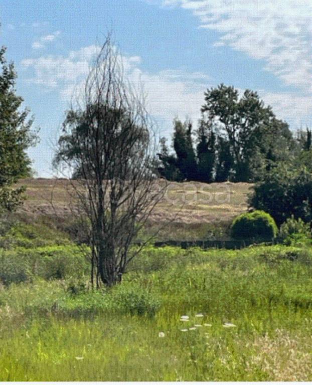 immagine annuncio 10 di 12