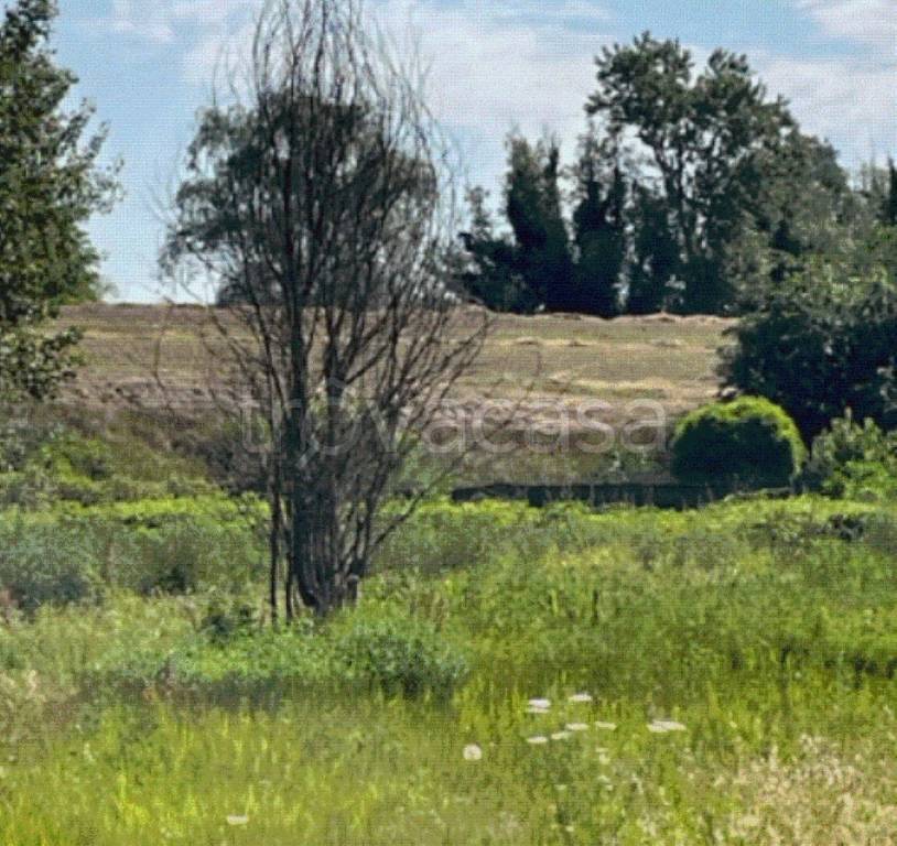 immagine annuncio 11 di 12