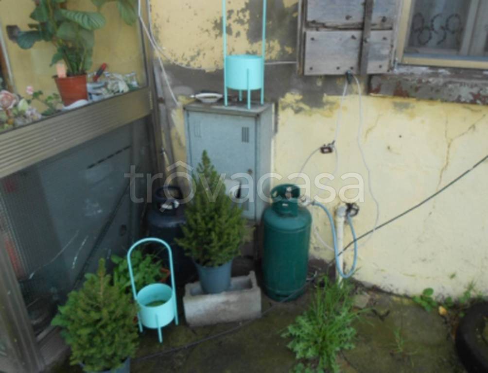 immagine annuncio 6 di 11