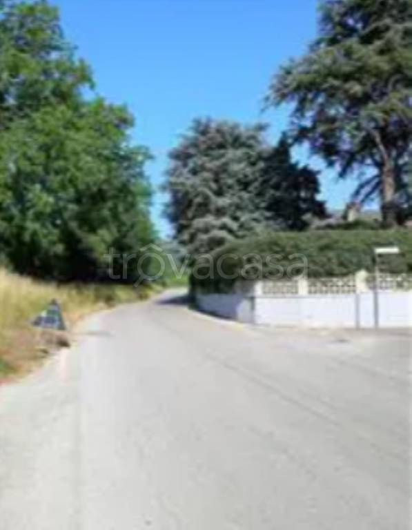 immagine annuncio 8 di 12