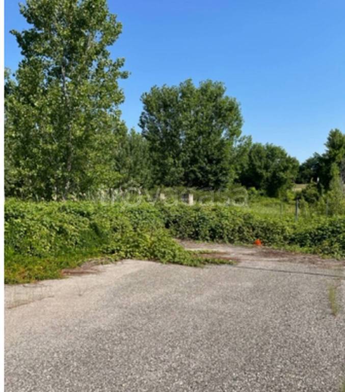 immagine annuncio 8 di 11