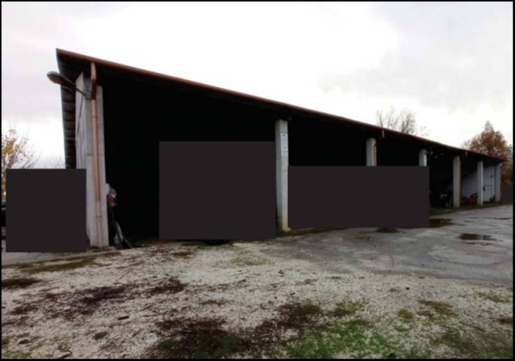 immagine annuncio 4 di 12