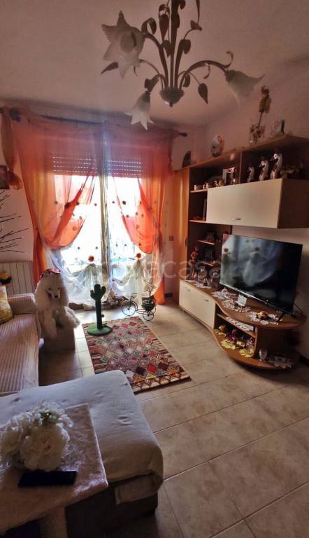 immagine annuncio 3 di 6