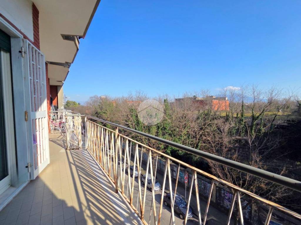 immagine annuncio 5 di 11