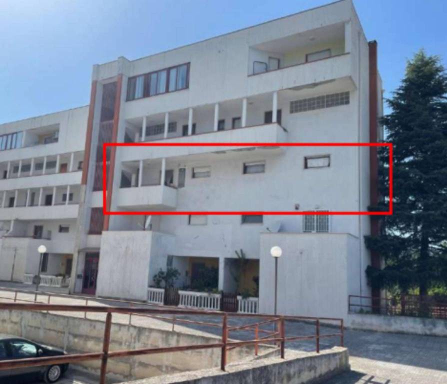 immagine annuncio 4 di 11