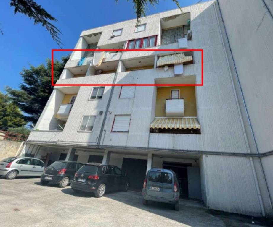 immagine annuncio 5 di 11