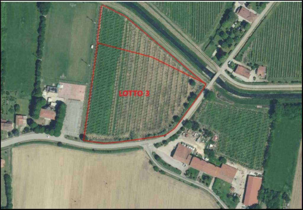 immagine annuncio 11 di 12