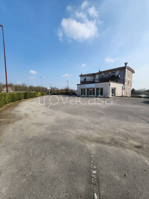 immagine annuncio 6 di 9