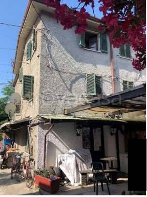 immagine annuncio 9 di 14