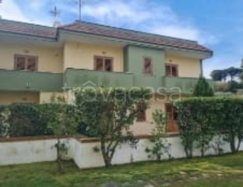 immagine annuncio 3 di 14