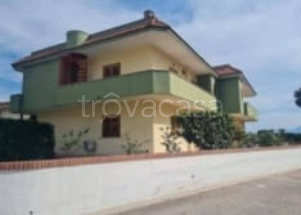 immagine annuncio 5 di 14