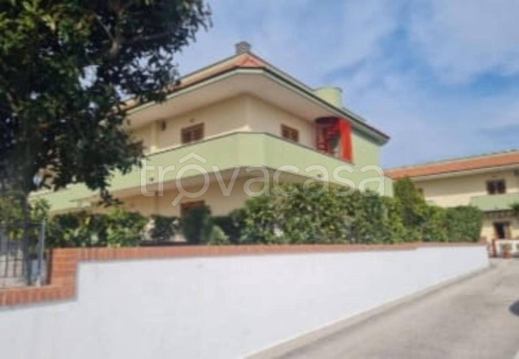 immagine annuncio 8 di 14