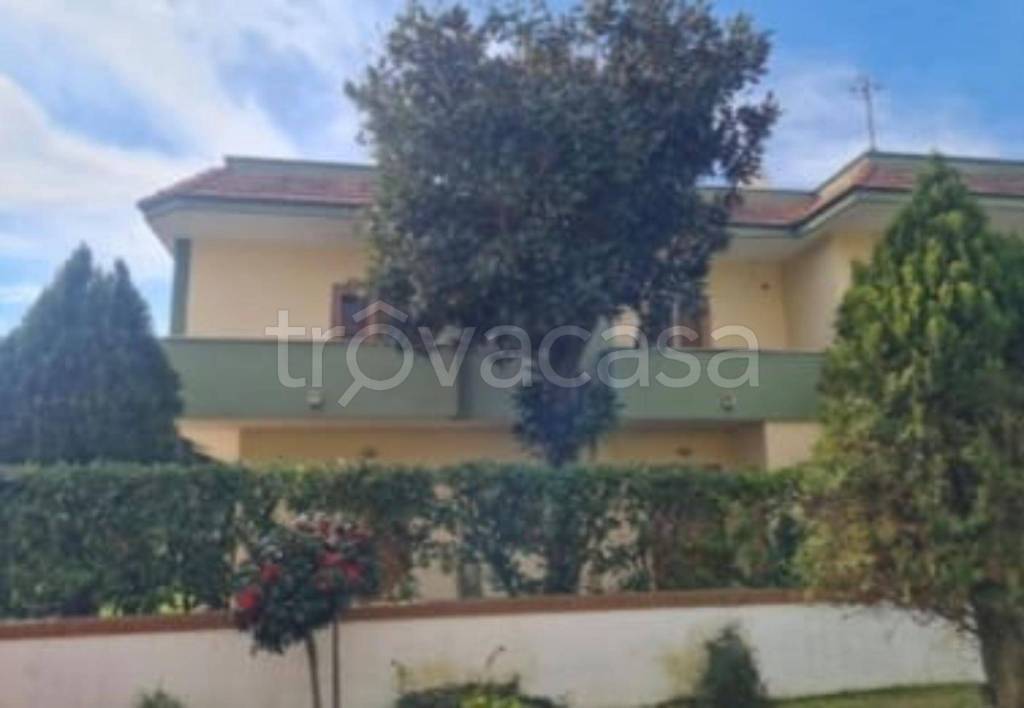 immagine annuncio 10 di 14