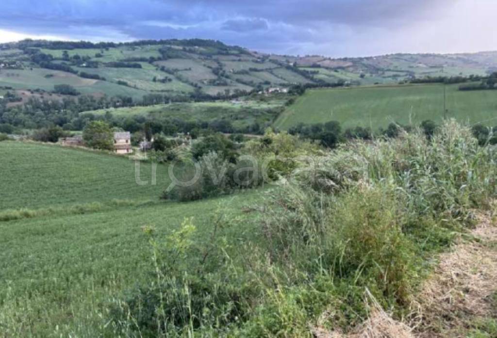 immagine annuncio 4 di 9