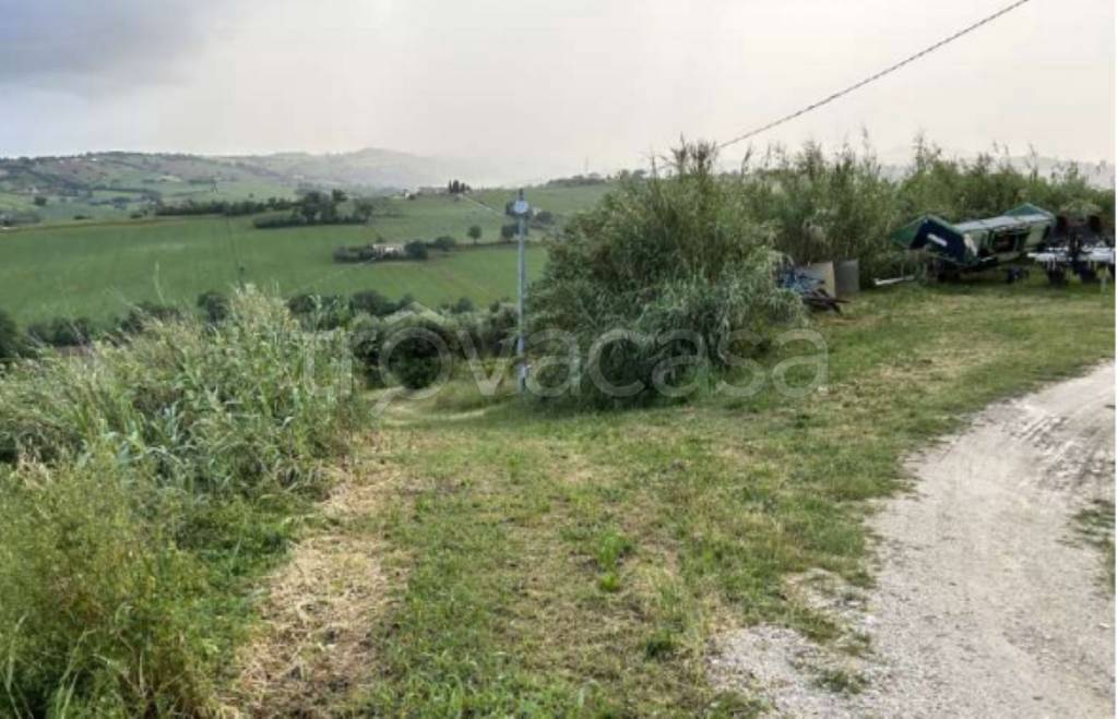 immagine annuncio 6 di 9