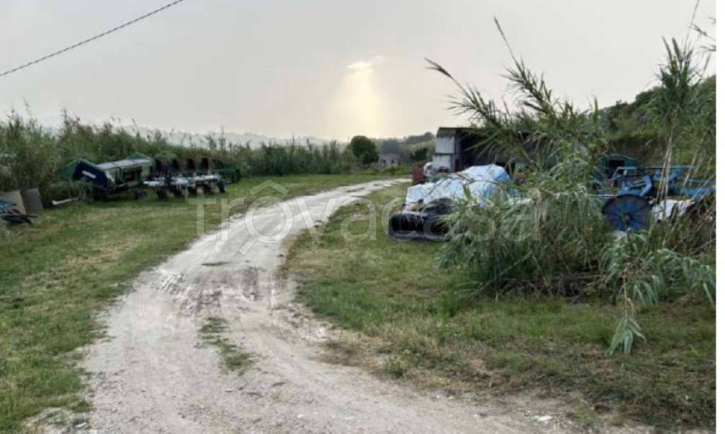 immagine annuncio 7 di 9