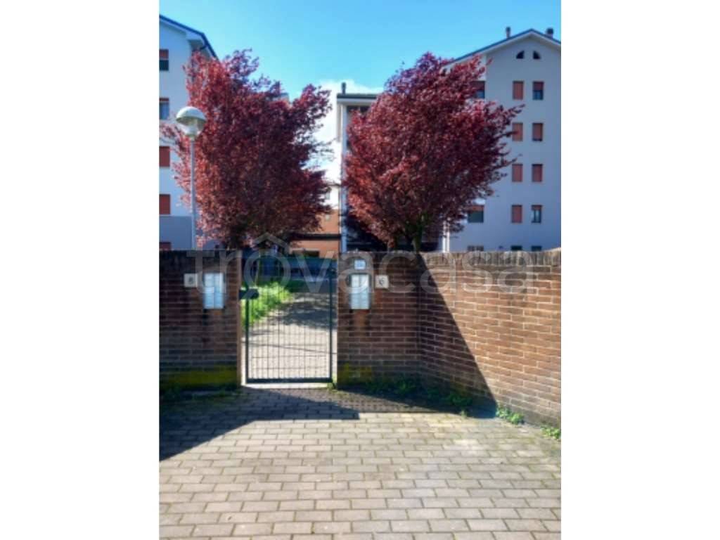 immagine annuncio 4 di 15