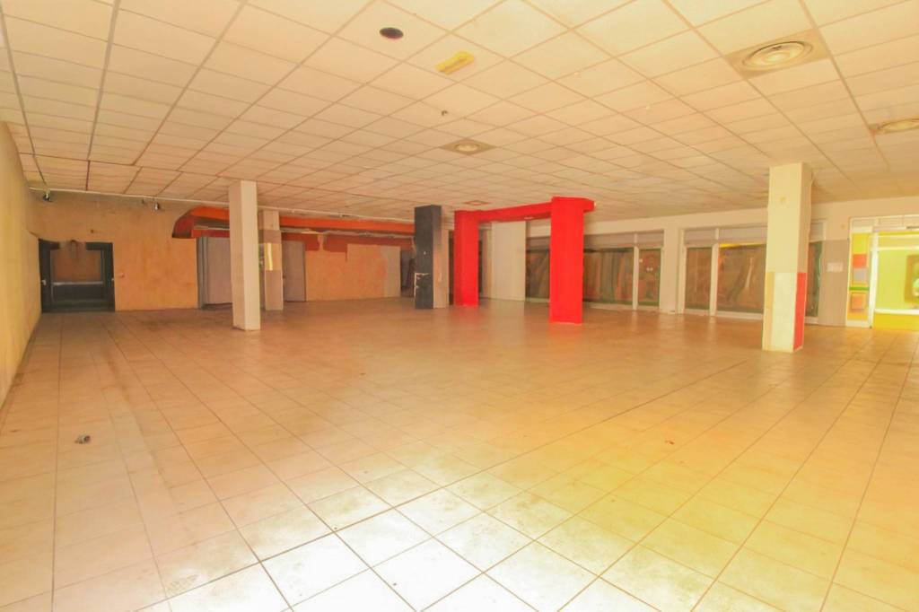 immagine annuncio 2 di 13