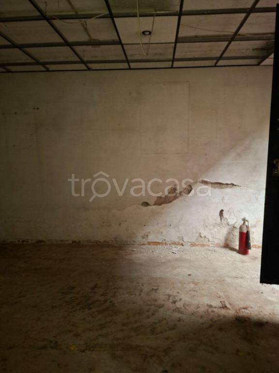 immagine annuncio 6 di 14