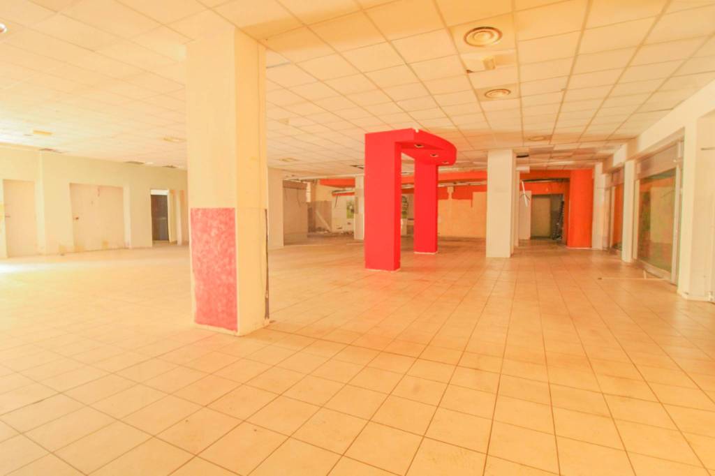 immagine annuncio 5 di 13