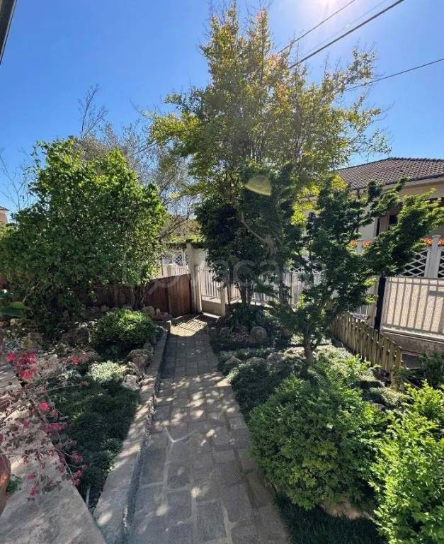 immagine annuncio 3 di 14