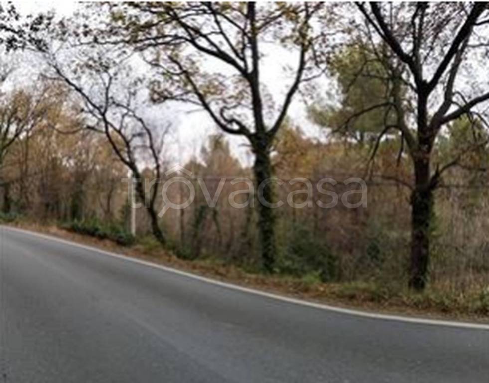 immagine annuncio 8 di 11