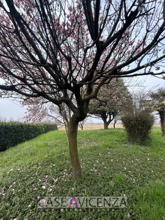 immagine annuncio 11 di 14