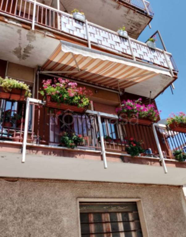 immagine annuncio 4 di 8