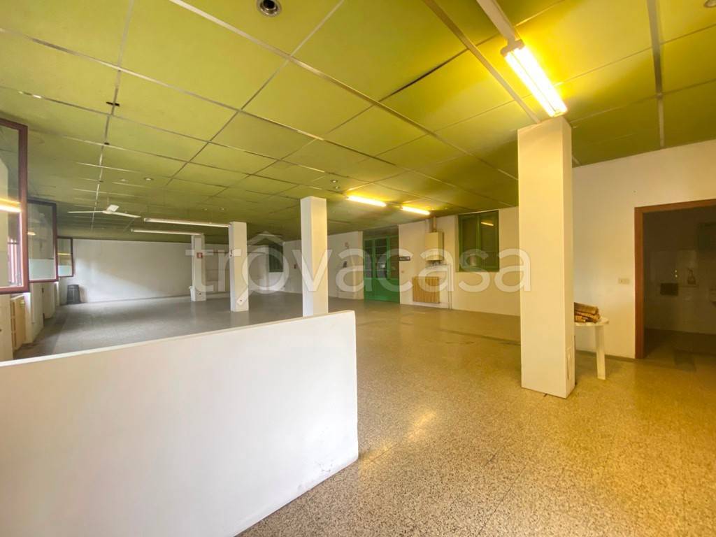 immagine annuncio 3 di 14