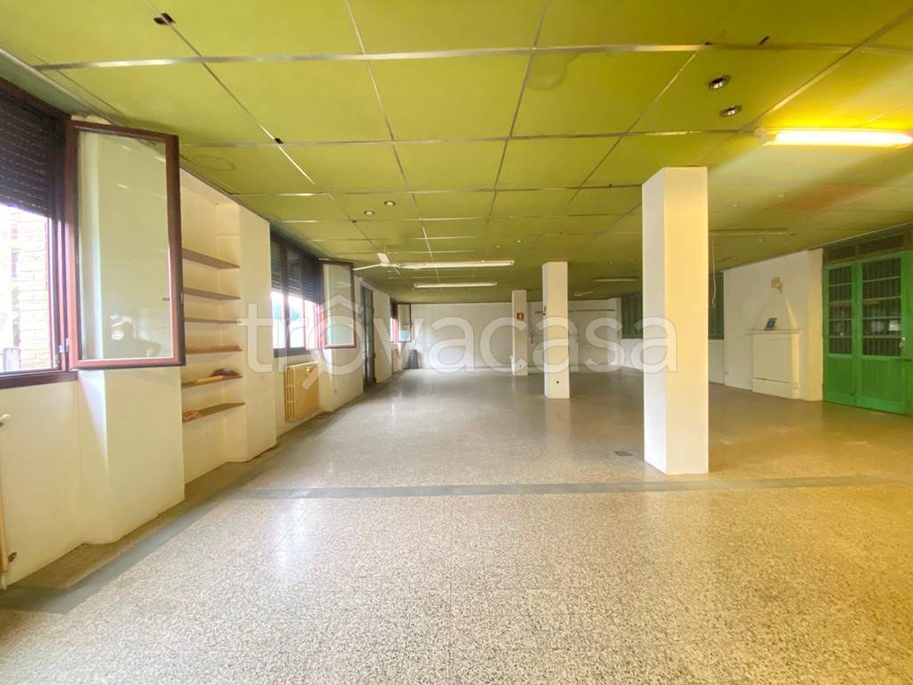 immagine annuncio 4 di 14