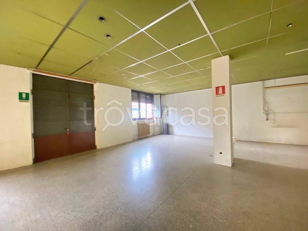 immagine annuncio 7 di 14