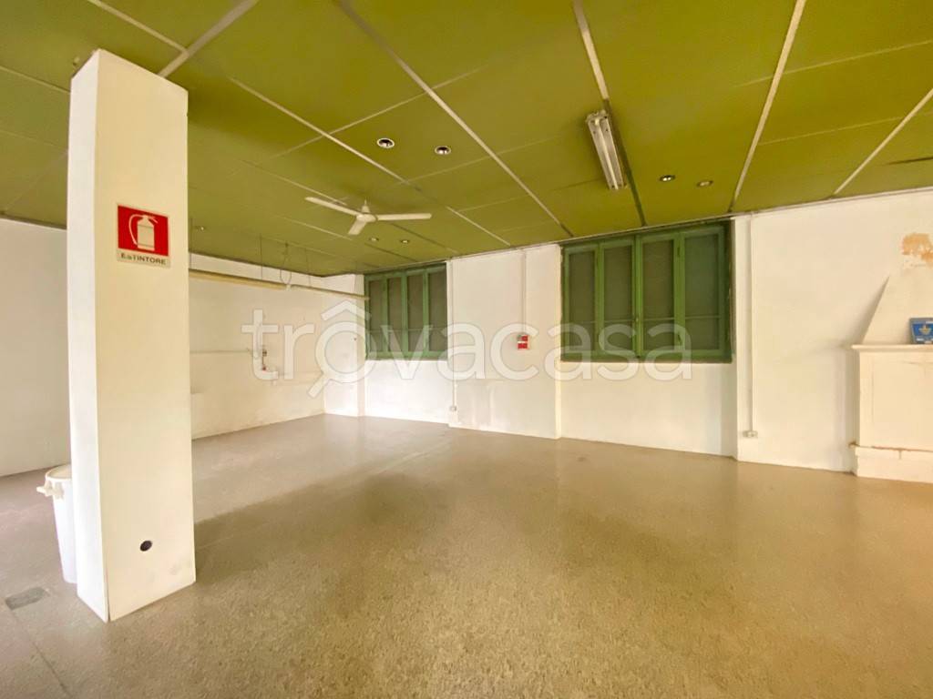 immagine annuncio 8 di 14