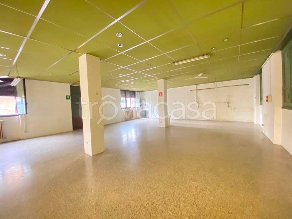 immagine annuncio 10 di 14