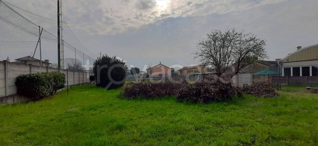 immagine annuncio 1 di 4