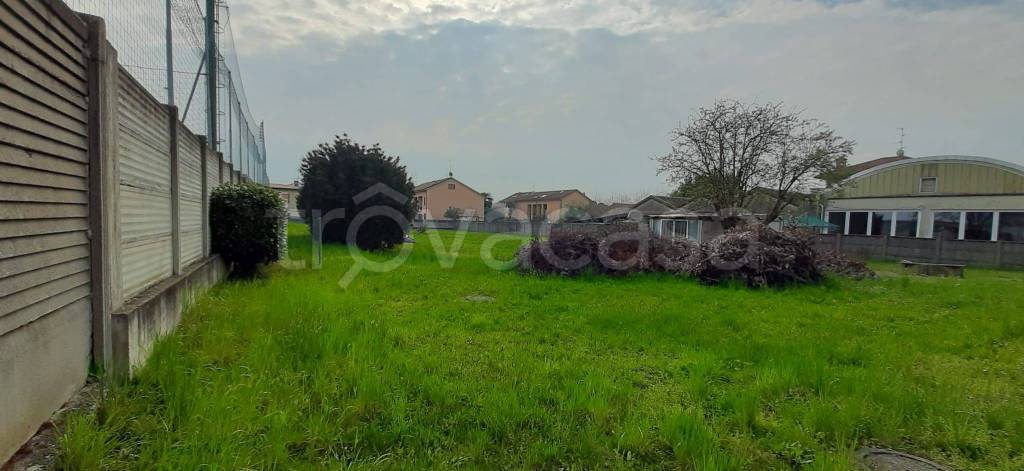 immagine annuncio 2 di 4