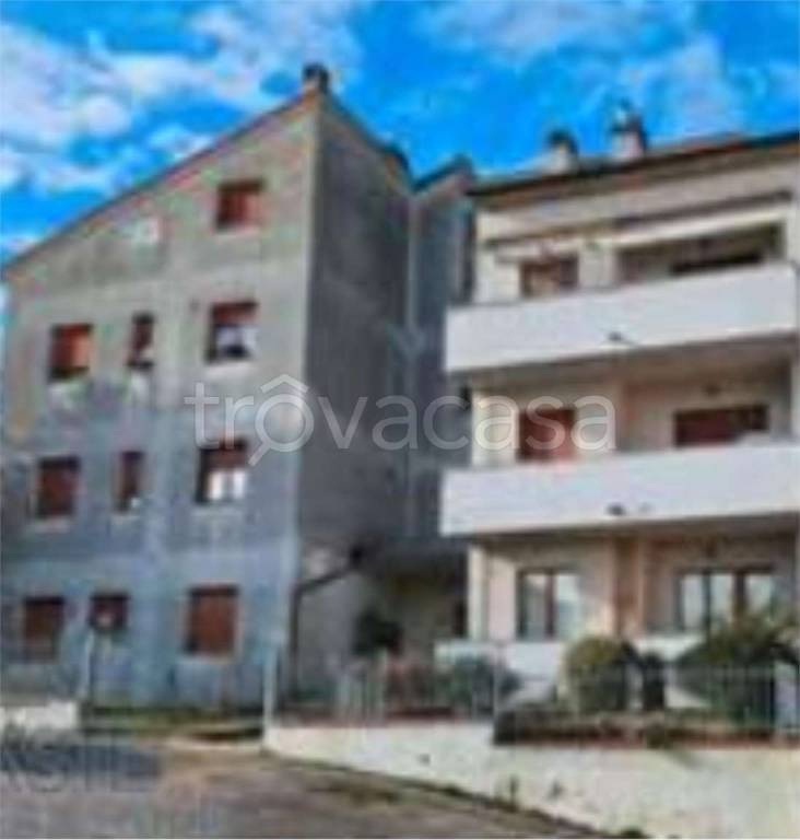 immagine annuncio 6 di 11