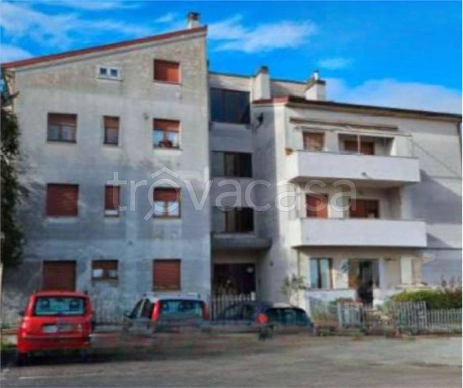 immagine annuncio 10 di 11