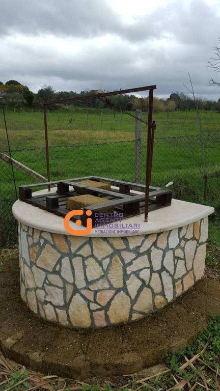 immagine annuncio 3 di 7