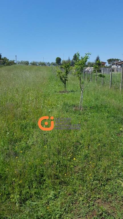 immagine annuncio 4 di 7