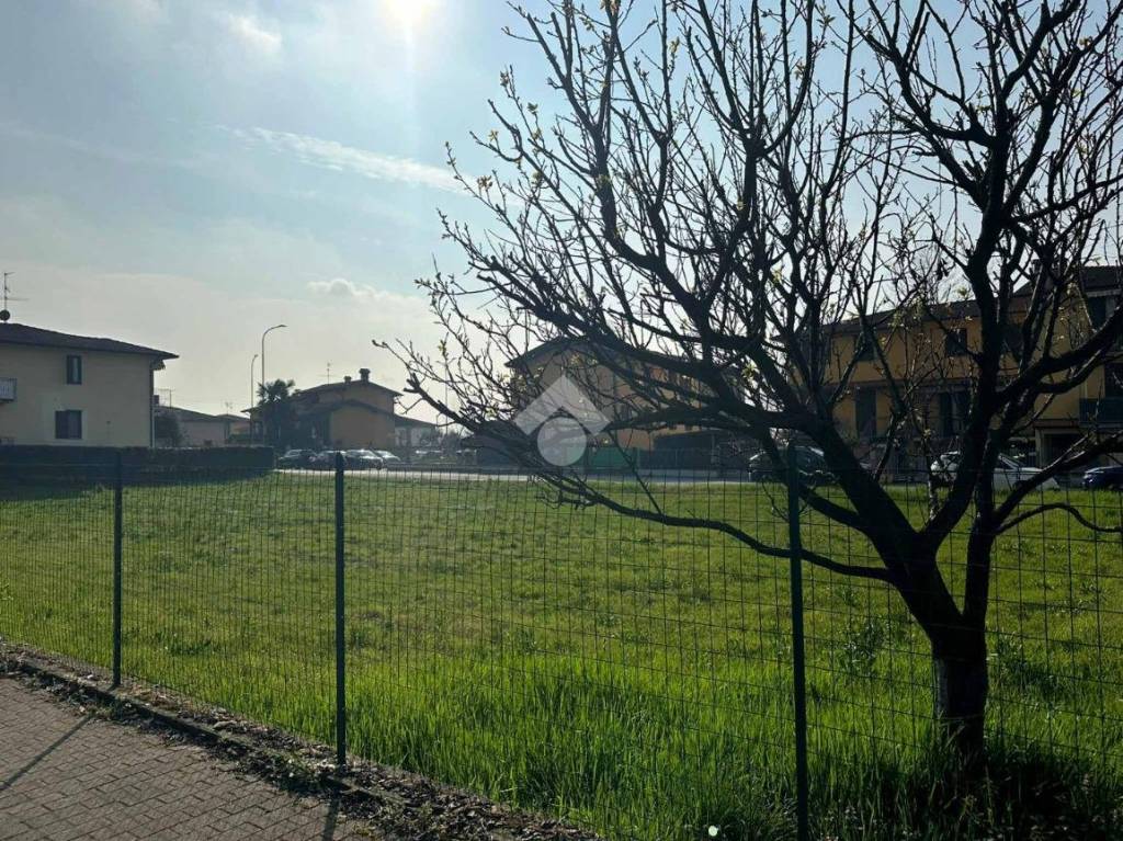 immagine annuncio 12 di 13