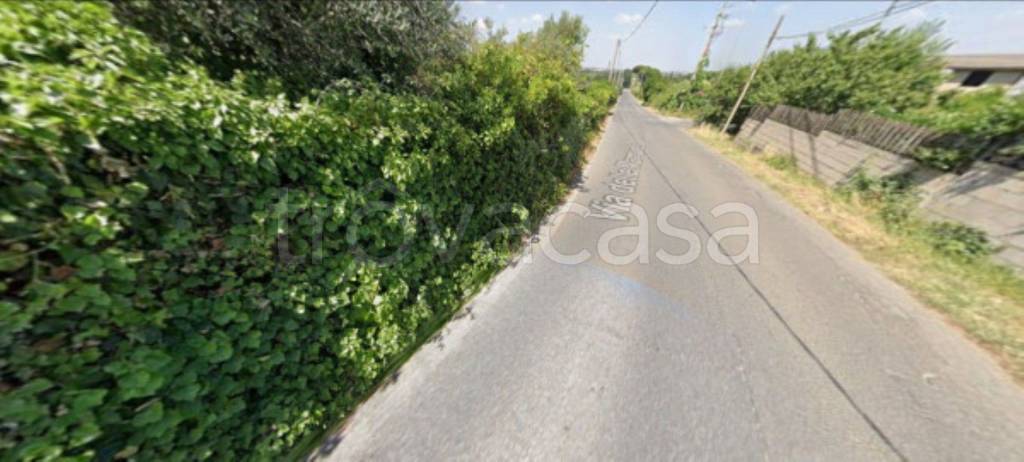 immagine annuncio 11 di 12