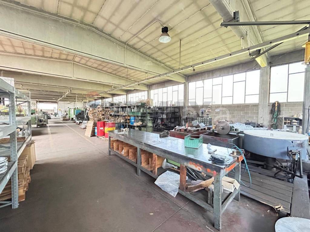 immagine annuncio 11 di 15