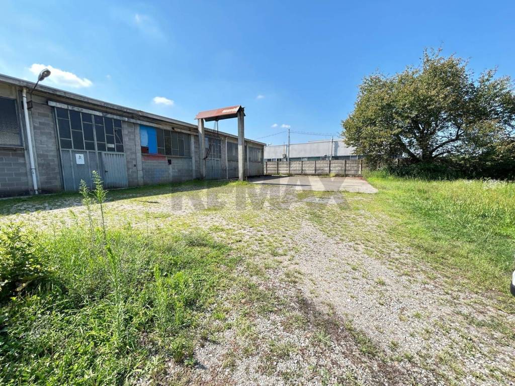 immagine annuncio 2 di 15