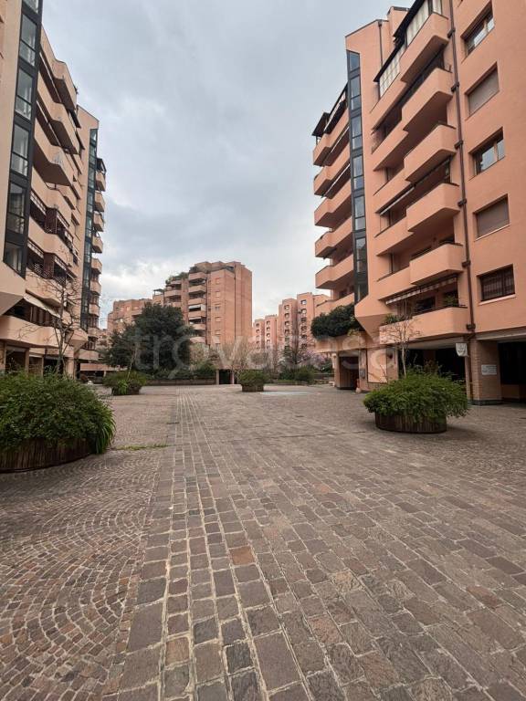 immagine annuncio 5 di 12