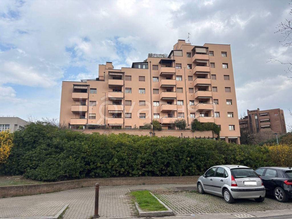 immagine annuncio 10 di 12