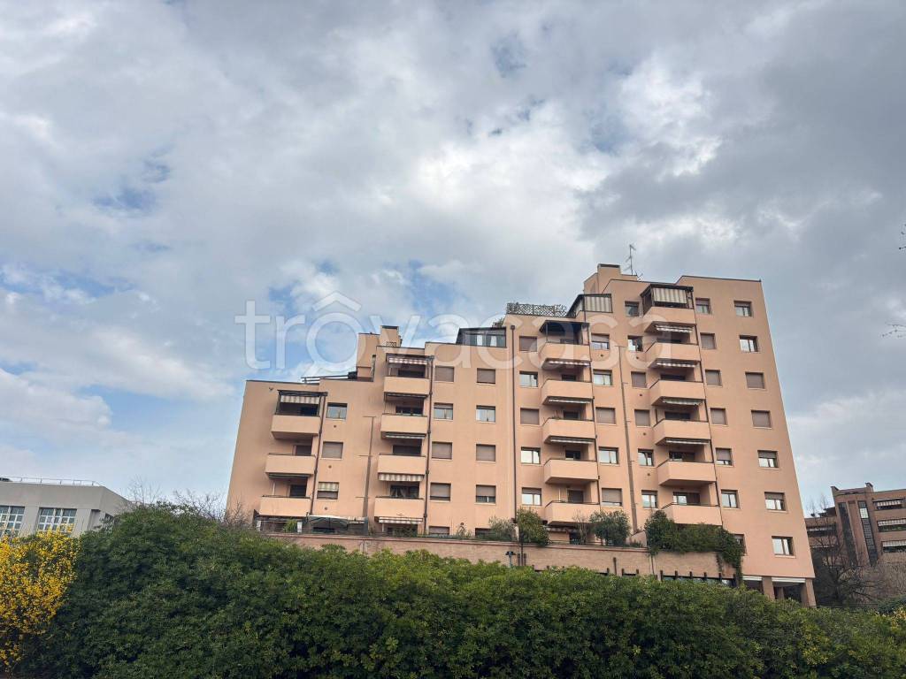 immagine annuncio 11 di 12