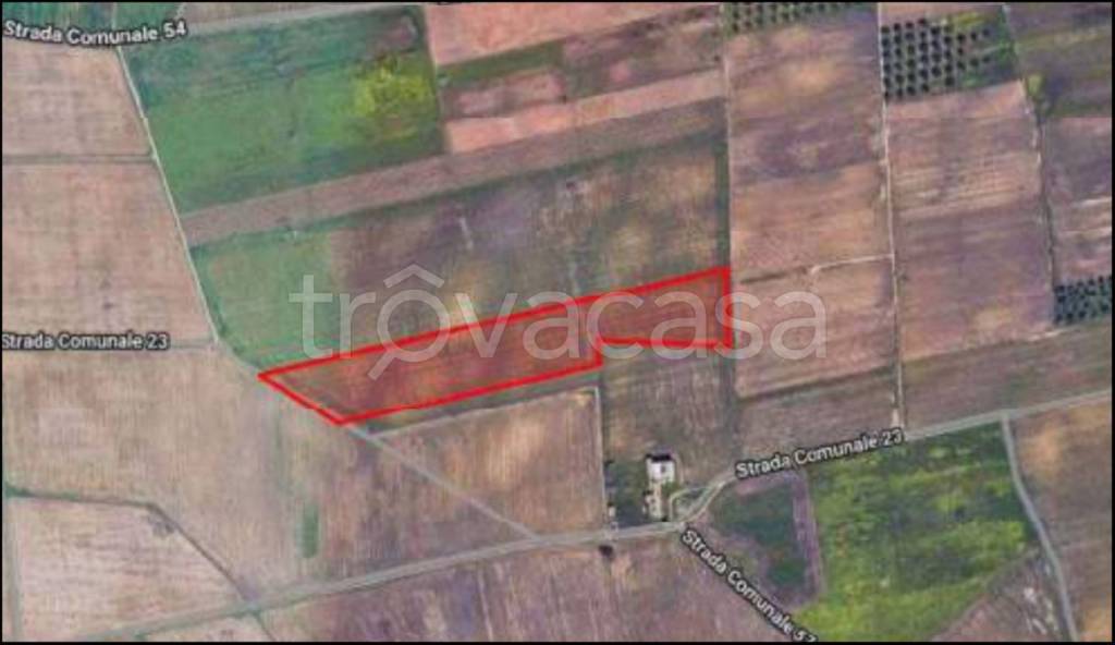 immagine annuncio 11 di 12