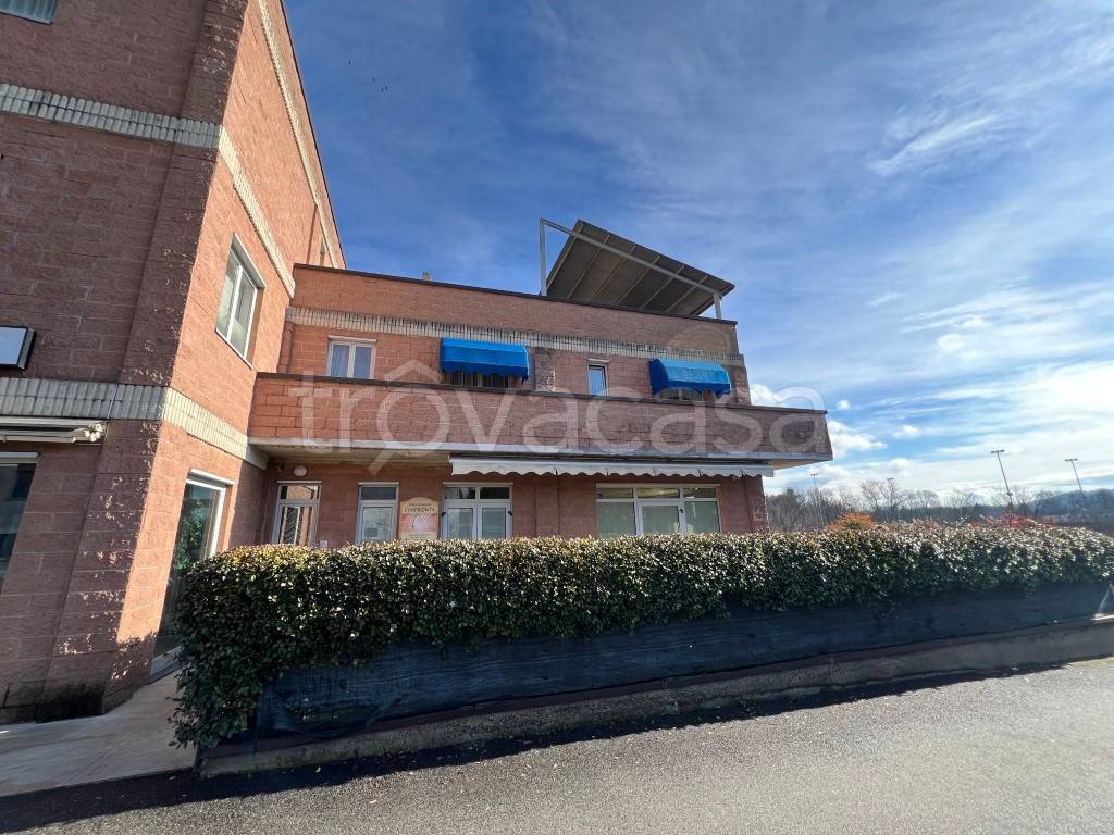 immagine annuncio 12 di 13