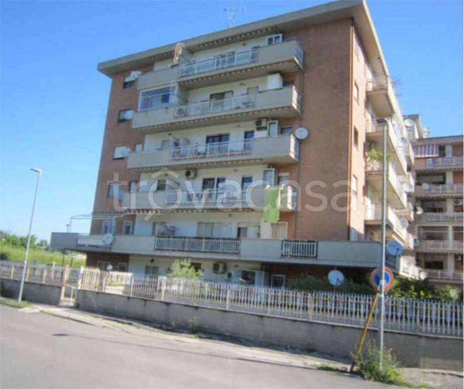 immagine annuncio 1 di 9