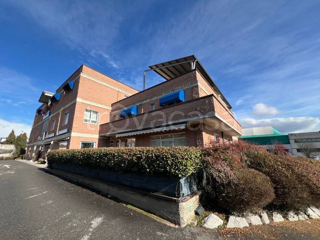 immagine annuncio 10 di 11